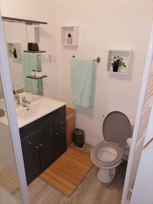 Sci La Malinoise Apartman Albon Kültér fotó